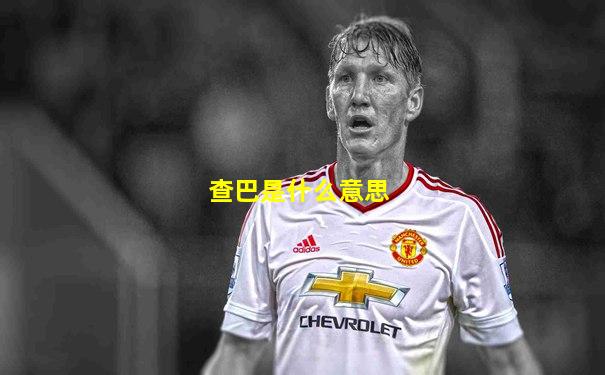 查巴是什么意思