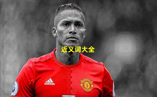 近义词大全